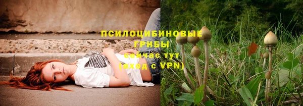 метадон Алзамай