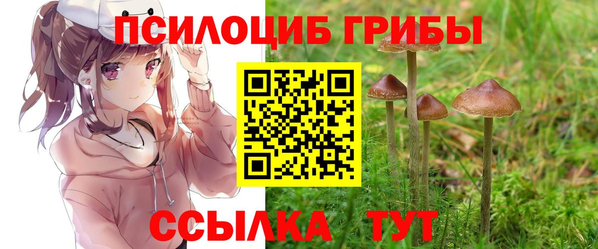 Галлюциногенные грибы ЛСД  Вход с VPN  Галлюциногенные грибы мухоморы  Ливны 