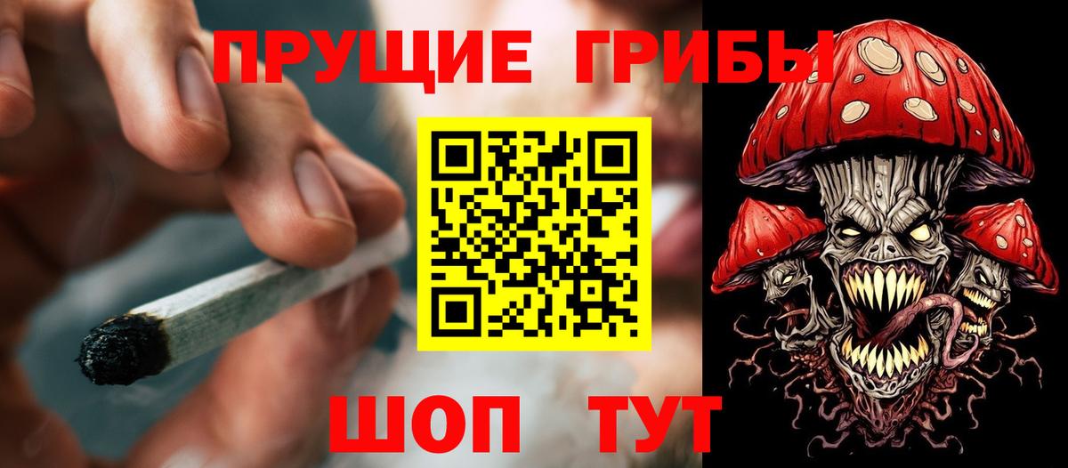 Псилоцибиновые грибы GOLDEN TEACHER Ливны